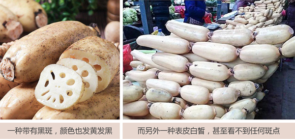 163250105.jpg 帶黑斑藕(合集).jpg